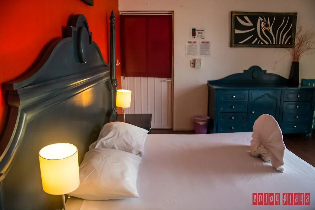 Enjoy Playa Hostel Playa del Carmen Mexico